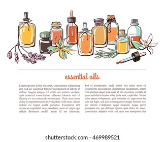 Vector illustration with essential oil bottles, aromatic plants and flowers. Bright colorful doodle objects on white background with place for text. Aromatherapy card, flier or leaflet design.