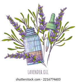 Vektorgrafik von ätherischem Öl, Lavendelblume und Blättern. Glasflasche mit Tropfen. Lavandula ätherisches Öl. Pipette. Kosmetik, Parfüm und Heilpflanze.