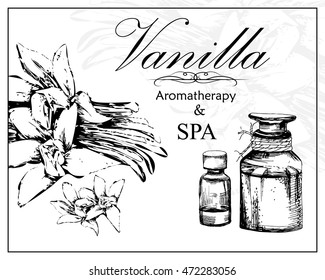 vector illustration of essential oil of vanilla in the style of hand drawn