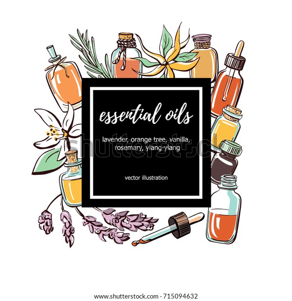 Vector Illustration Essential Oils Hand Drawn Stock Vector (Royalty ...