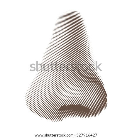 Vector Illustration of Etched or Engraved Nose