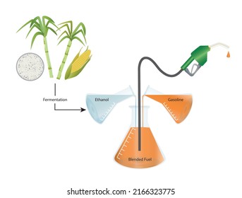 Vector Illustration of Ethanol Blended Fuel