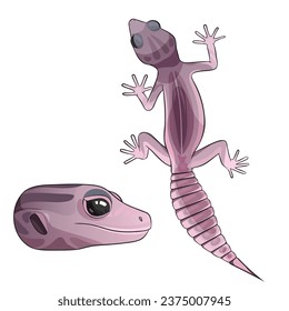 Vector illustration of an eublepharis leopard gecko  Blizzard