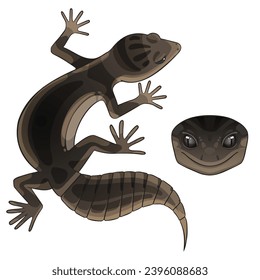 Vector illustration of an eublepharis Leopard gecko black night svg