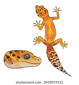 Vector illustration of an eublepharis Leopard gecko tangerine