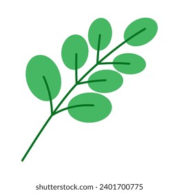 Vector illustration with eucalyptus branch