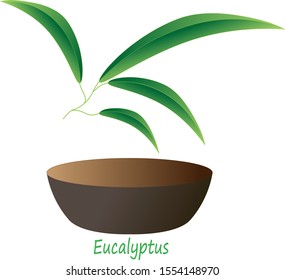 
vector illustration of a eucalyptus branch and a bowl for medicines for use as a website logo, product, print, postcard, business card