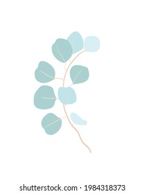 Vector illustration of Eucalyptus branch isolated on white background. Minimalist elegant floral decoration for wedding invitation, post card, wall print. Light colors eucalyptus leaf clipart.