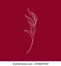Vector illustration of an Eucalyptus branch, line art