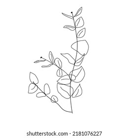 Ilustración vectorial del eucalipto en estilo doodle. Ilustración de línea