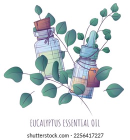 Vektorgrafik von Eukalyptus ätherischem Öl. Glasflasche mit Tropfen. Pflanze von Silberdollareukalyptus. Für Kosmetik, Parfüm, Aromatherapie. 