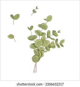 Vector  illustration of eucalyptus leaves. Delicate tropical leaves for the bride's bouquet. A branch of mint-colored flowers. Spring or summer flowers for invitation, wedding or greeting cards.