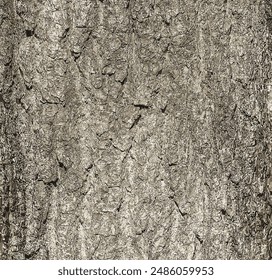 Vector illustration of Eucommia bark background. Natural surface texture GUTTA-PERCHA TREE
