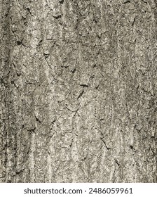 Vector illustration of Eucommia bark background. Natural surface texture GUTTA-PERCHA TREE
