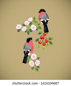 Vector illustration of Eurasian bullfinch with branches of dog roses with flowers and rose hips