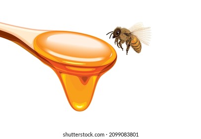 Vector illustration of European honey bee or species of apis mellifera flying over sweet honey dripping from spoon,commercial pollinator,isolated on white background,Life of Common Bee Concept.