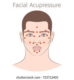 Vector illustration: European man face with instructions for facial acupressure isolated on white background
