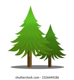 Vector illustration of evergreen tree with a white background.