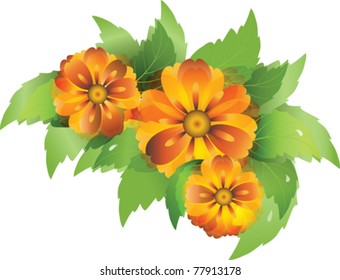 vector illustration of everlasting flowers with leaves