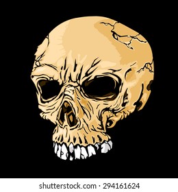 A vector illustration of an evil skull with broken teeth and leathery skin.
Creepy Evil skull icon illustration.
Evil looking Skull from human remains.