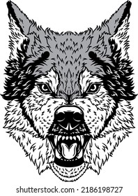 Vector illustration of evil wolf's head.