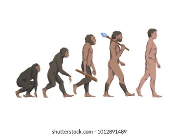 Vector illustration of evolution