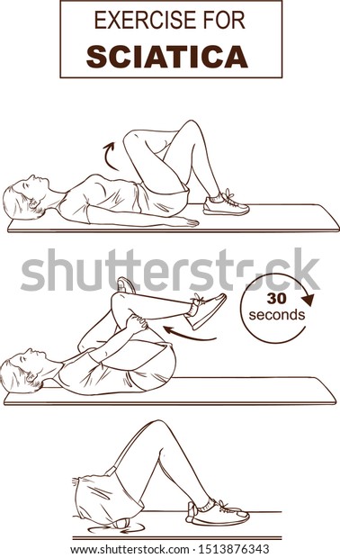 Vector Illustration Exercises Sciatica Stock Vector Royalty Free 1513876343 9841