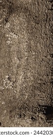 Vector illustration of Exochorda tree bark background and texture.

