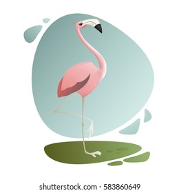 Vector illustration. Exotic animals. Tropic bird. Pink flamingo looking away