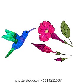Vector illustration with exotic birds and flowers. Tropical bird hummingbird.  hand drawing For textile, wallpaper, fabric, wrapper