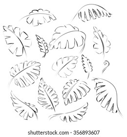Vector illustration of exotic black and white leaves design element collection in doodle style isolated on white