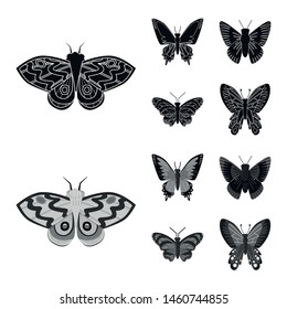 Vector illustration of exotic and botanic sign. Collection of exotic and tropics vector icon for stock.