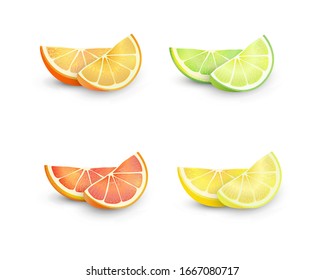 Vector Illustration. Exotic citrus fruit design on vignette background. Different Slices of Orange, Lemon, Lime, Red Orange. Isolated elements for fruit design. Flat style.