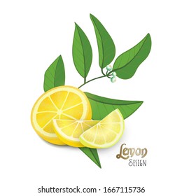 Vector Illustration. Exotic citrus fruit design on white background. Slice of Lemon with leaves and blossom of lemon plant. Lettering Lemon design. Flat style.