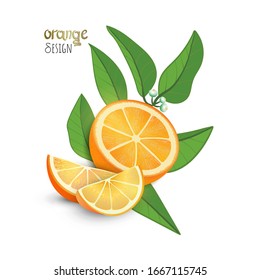 Vector Illustration. Exotic citrus fruit design on white background. Slice of Orange with leaves and blossom of orange plant. Lettering Orange design. Flat style.