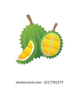 Vector Illustration of Exotic Durian Fruit