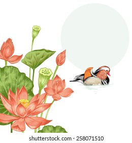 Vector. Illustration with exotic flowers in the art watercolor pencils. Lotus pond and mandarin duck. Retro. Vintage style.