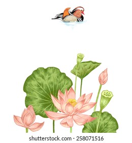 Vector. Illustration with exotic flowers in the art watercolor pencils. Lotus pond and mandarin duck. Retro. Vintage style.