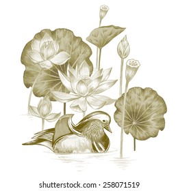 Vector. Illustration with exotic flowers in the art watercolor pencils. Lotus pond and mandarin duck. Retro. Vintage style.