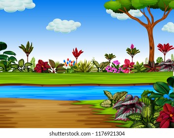 vector illustration of the exotic forest with the river cross it