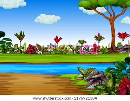 vector illustration of the exotic forest with the river cross it