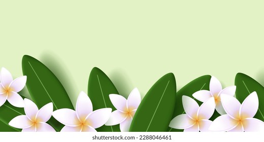 Vector illustration of exotic frangipani flower and leaves, frame the bottom of the screen, spa ad banner, tropical resort