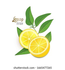 Vector Illustration. Exotic fruit design on white background. Slice of Lemon with leafs and blossom of lemon plant. Lettering Lemon design. Flat style.