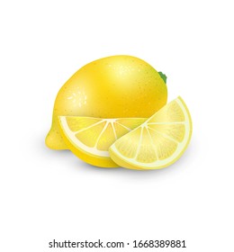 Vector Illustration. Exotic fruit design on white background. Whole lemon fruit and slices of lemon. Isolated elements for fruit design.