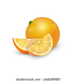 Vector Illustration. Exotic fruit design on white background. Whole orange fruit and slices of orange. Isolated elements for fruit design.