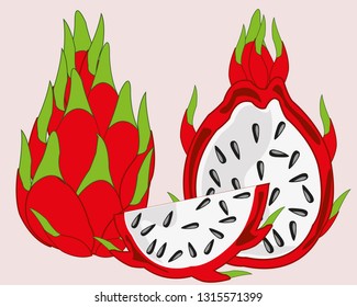 Vector illustration of the exotic fruit pitaya on white background