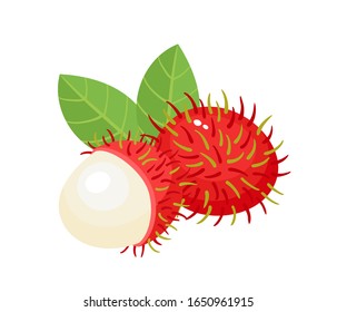 Vector illustration of exotic fruit rambutan isolated on white. Whole and half of fresh tropical fruit used for poster, website, brochure, tag