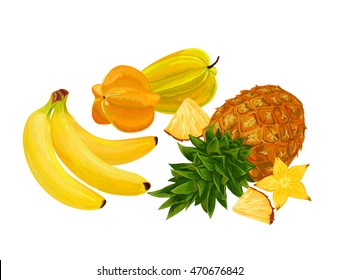 Vector illustration of exotic fruits. Cannon. Coconut. A pineapple. Banana.
Set of tropical fruits