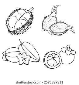 Vector illustration of exotic fruits hand drawn sketch, various exotic fruit line art. Containing dragon fruit durian, mangosteen, and star fruit. Flat sketch vector outline doodle illustration