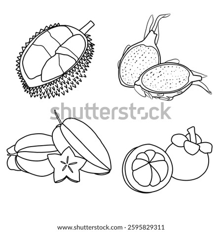 Vector illustration of exotic fruits hand drawn sketch, various exotic fruit line art. Containing dragon fruit durian, mangosteen, and star fruit. Flat sketch vector outline doodle illustration